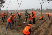 植物施肥原理图解，科学施肥的原理与步骤图解