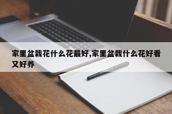 家居装饰：如何选择与布置室内盆栽花