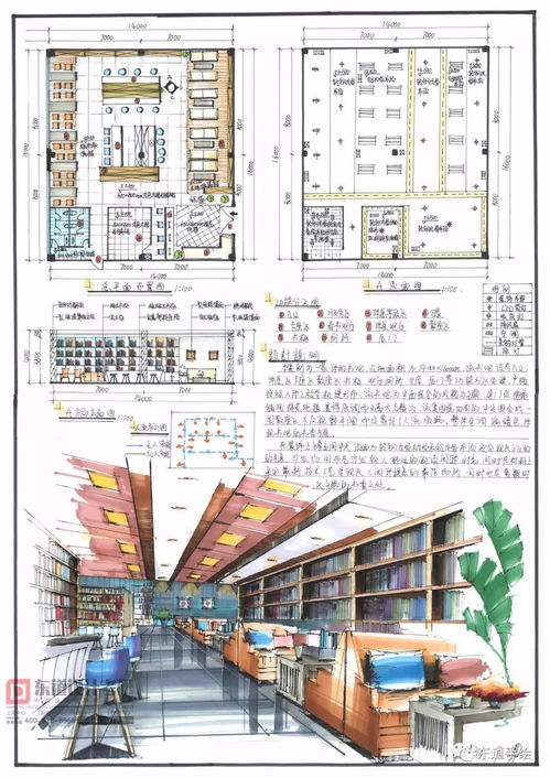 三角梅施肥技术及方法