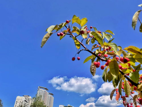 秋日诗意：古诗中的秋天景色大全