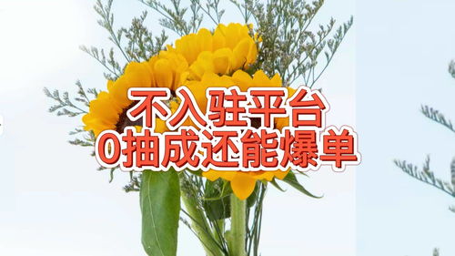 花店入驻网上销售平台指南