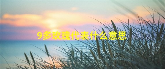 九朵花的意义与象征