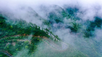 青山松柏美景图片