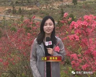 杜鹃花及其深刻象征意义