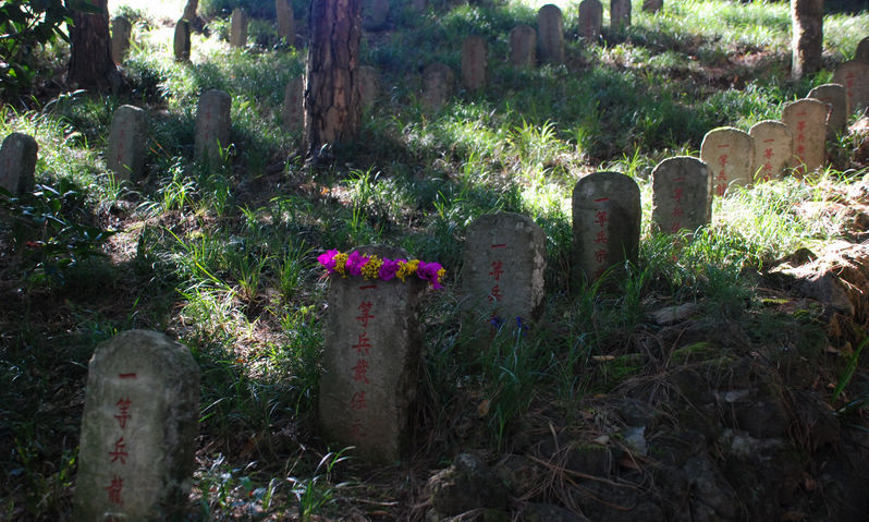 坟地柏树种植布局及其文化内涵