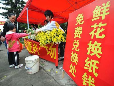 春日拆桐花烂漫，清明雨后的美景