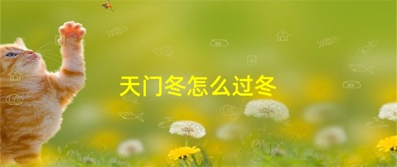 天门冬的过冬方法