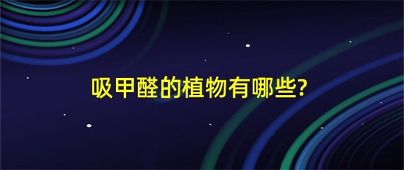 龟背竹有毒吗？适合在卧室养吗？