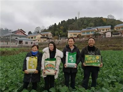 茅栗镇镇长及茅栗镇政府办公室联系电话