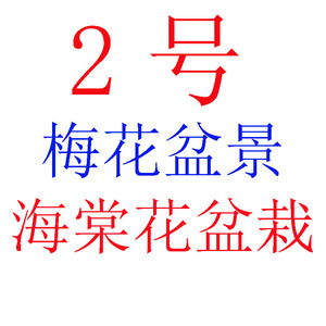 绿宝石海棠花和垂丝海棠花哪个更好？以及绿宝石海棠花的养殖方法