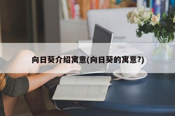 向日葵的丰富内涵与象征意义