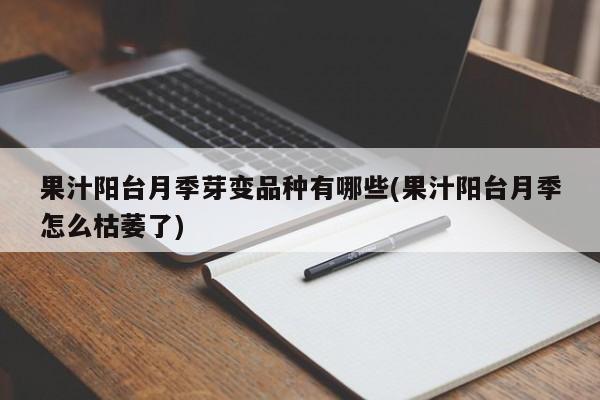 阳台月季的品种及枯萎原因解析