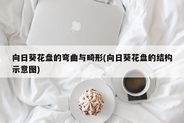 向日葵花盘的弯曲与畸形(向日葵花盘的结构示意图)