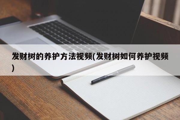 发财树养护方法视频教程封面图