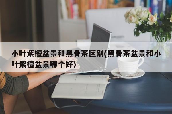 小叶紫檀盆景和黑骨茶盆景的对比图