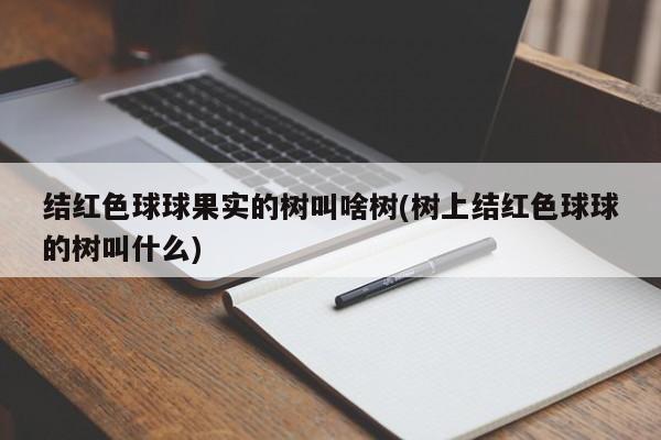 树上结红色球球果实的树介绍